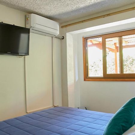 Hostal Aldea Colchagua Experience Santa Cruz Eksteriør bilde