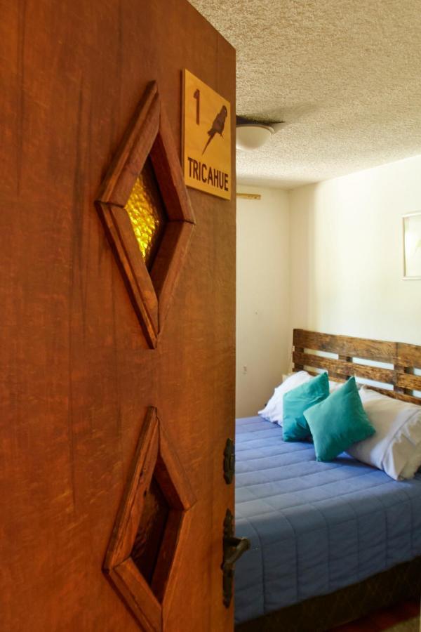 Hostal Aldea Colchagua Experience Santa Cruz Eksteriør bilde